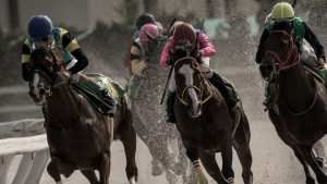 The Best 20 Examples Of Casino Chilli Reels